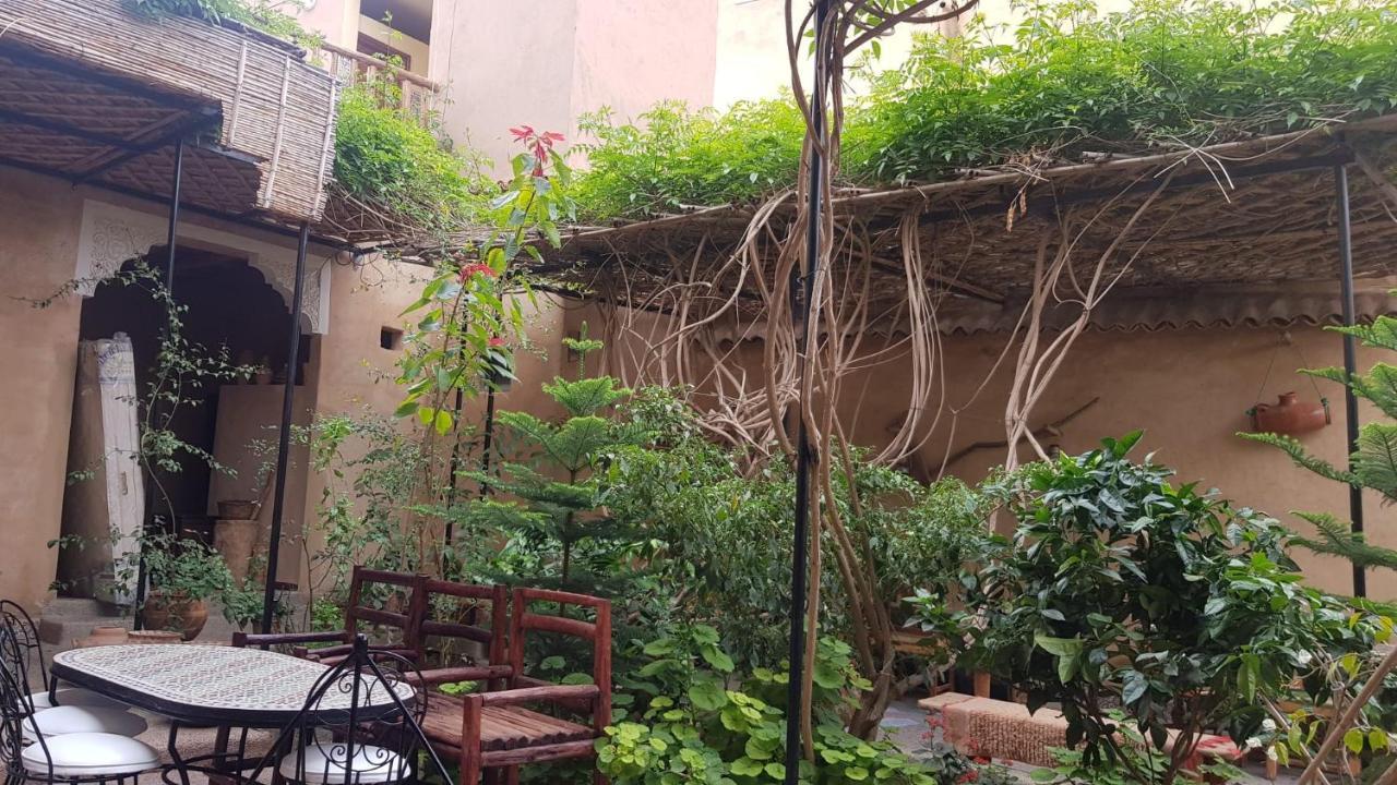 Oasis De Tiout 아파트 객실 사진
